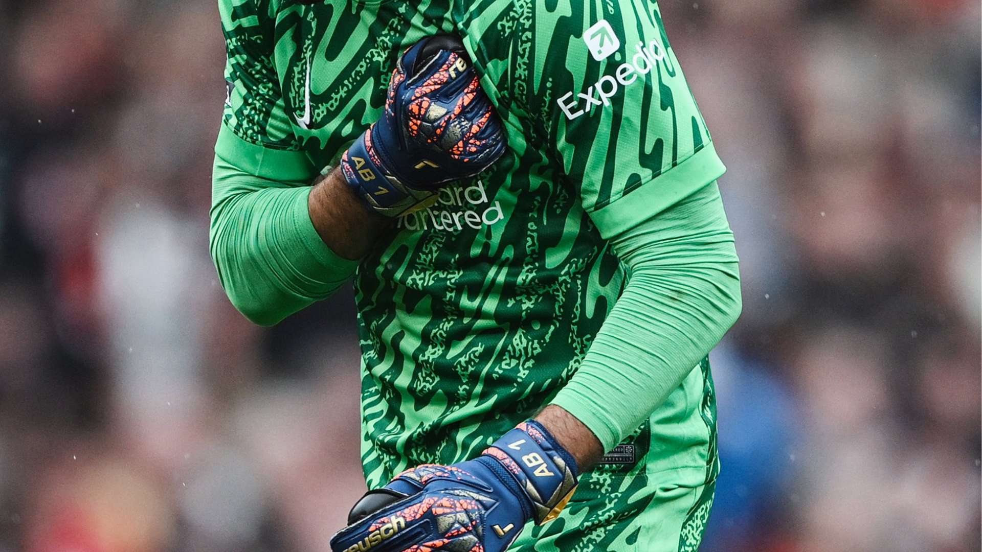 的训练环境 的训练环境