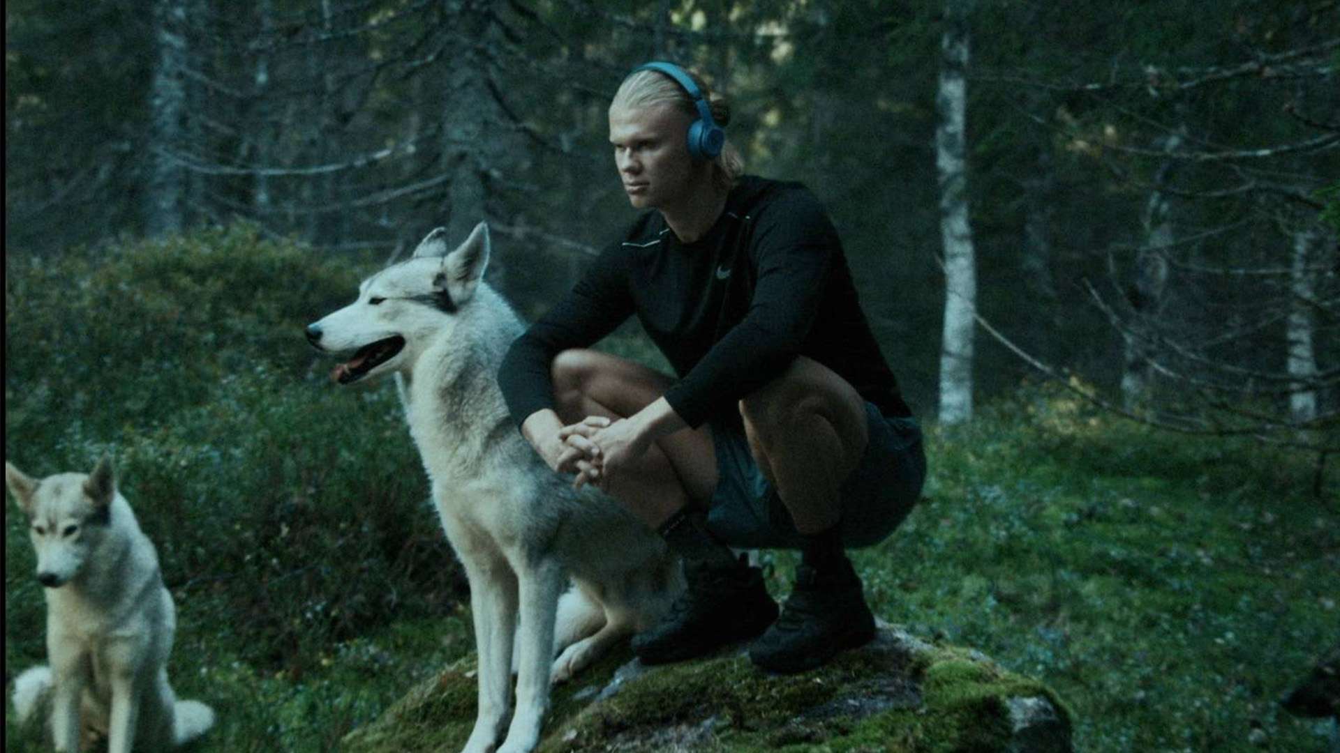 的传球能力 的传球能力