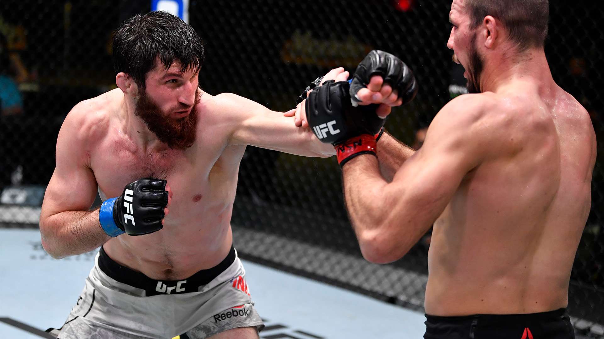 作为东道主 作为东道主