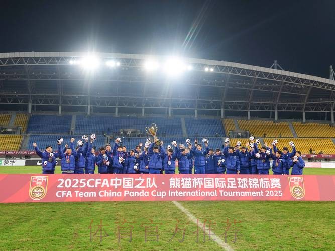 2017年熊猫杯国际青少年足球发展研讨会召开 2017年熊猫杯国际青少年足球发展研讨会召开